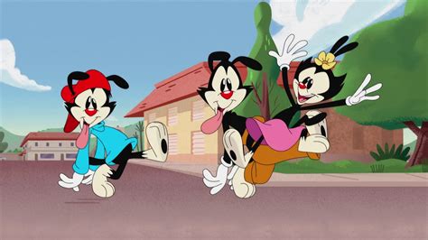 Animaniacs (2020) : Opening .